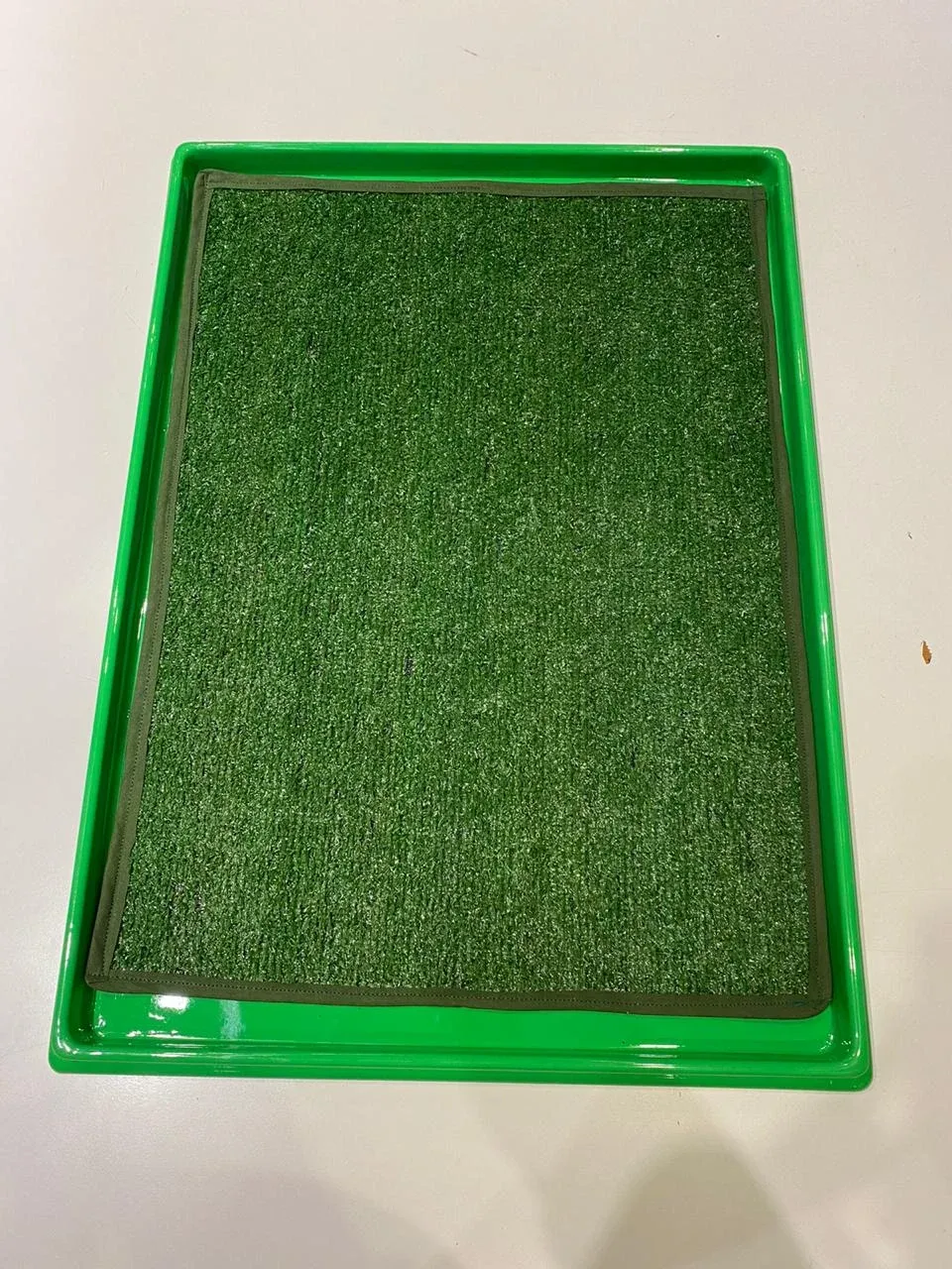 Bandeja verde de la carpeta Master Pet con el césped sintético puesto, vista desde arriba